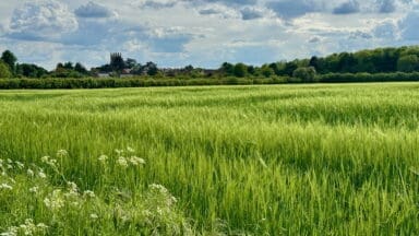 Deddington seen from the fields
