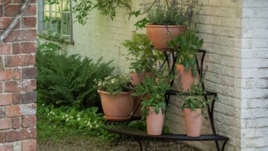 Crocus Terraced Etagere