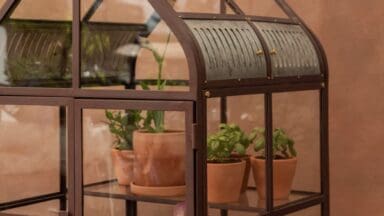 Crocus Collection Terrace grow house