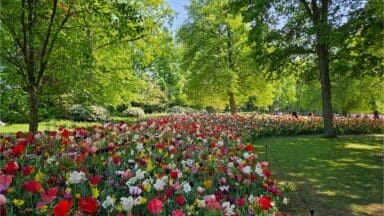 JUB Holland's display of a bulbs at the 2025 Keukenhof