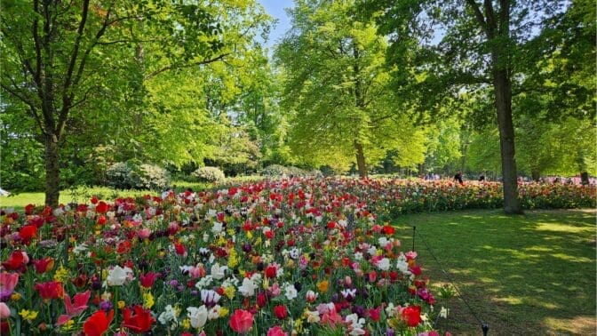 JUB Holland's display of a bulbs at the 2025 Keukenhof