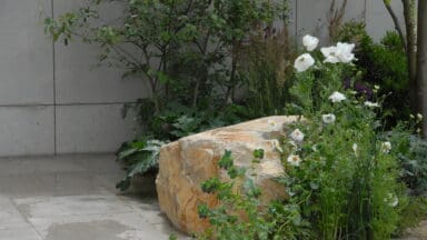 RHS Chelsea Flower Show garden featuring large boulder and white poppies