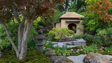 Cha No Niwa Japanese Tea Garden. Designed by Kazuyuki Ishihara. Show Garden. RHS Chelsea Flower Show 2025. Site no. 328