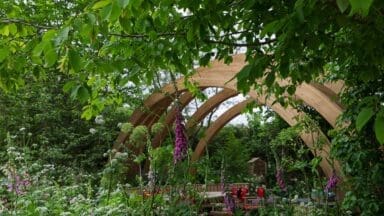 London Square Chelsea Pensioners Garden. Designed by Dave Green. Small Show Garden. RHS Chelsea Flower Show 2025. Site no. 284