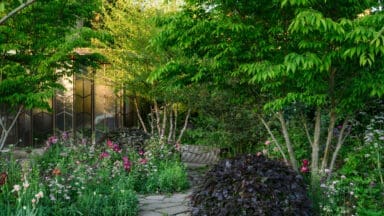 he Glasshouse Garden at RHS Chelsea Flower Show 2025 - Designed by Jo Thompson (17th - 18th May 2025)