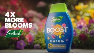 Westland Horticulture's advert for Boost which will appear on TV screens in Spring 2025
