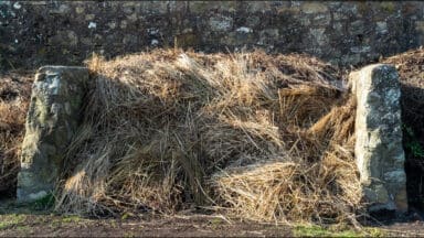 Compost heap
