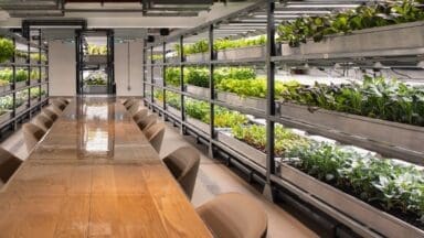 The urban farm restaurant The Orangery in Tottenham Court Road in London