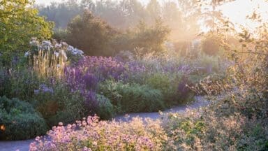 RHS Hyde Hall Gardens in the summer morning light