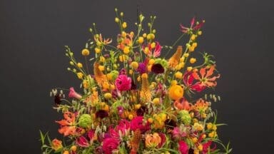 RHS Wentworth Woodhouse flower show blooming ballroom