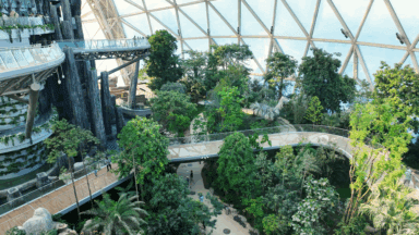 Eden Project Qingdao