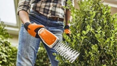 Stihl HSA 26 trimmers being used on a box hedge