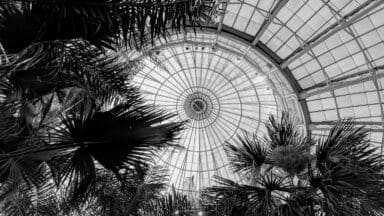 Kew's Palm House