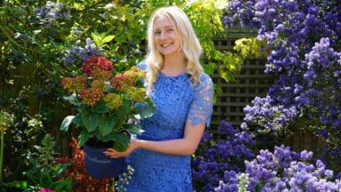 Amy Stubbs Managing Director British Garden Centres