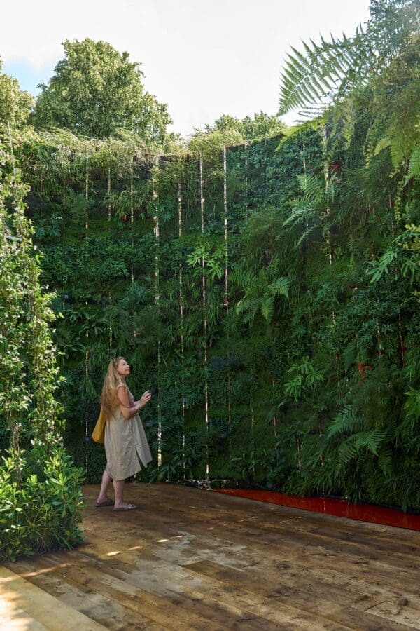 Life on Walls - vertigo garden at this year's RHS Hampton Court Palace Garden Festival