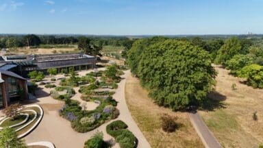 RHS Garden Wisley Lawn viewed from above by drone showing the dry, drought conditions experienced across the country
