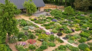 Aerial photo of the plant library at Serge Hill by Tom Stuart Smith