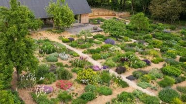 Aerial photo of the plant library at Serge Hill by Tom Stuart Smith