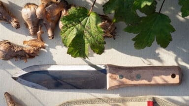 Niwaki Hori Hori