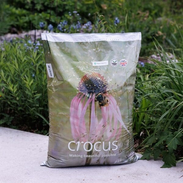 Crocus Compost