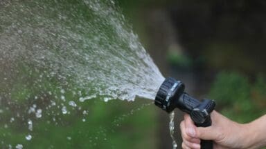 Hose pipe spraying water on a lawn