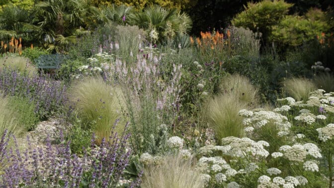 Dry Meadow at West Dean