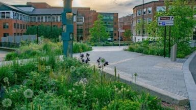 Sheffield's Grey to Green Scheme