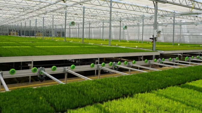 The new glasshouse at Newton Tree Nursery