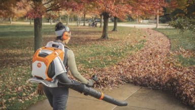 Stihl Leaf Blower Backpack