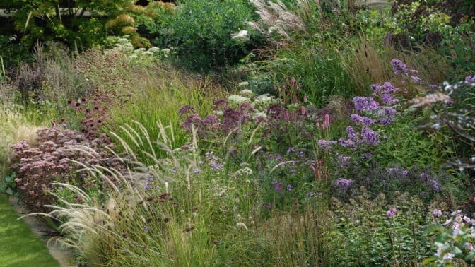 Garden designed by Petra Hoyer Millar