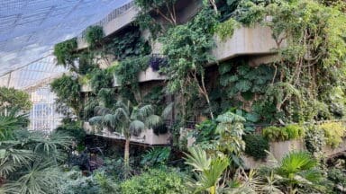 The conservatory at the Barbican Centre