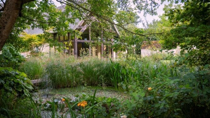 Miria Harris garden design