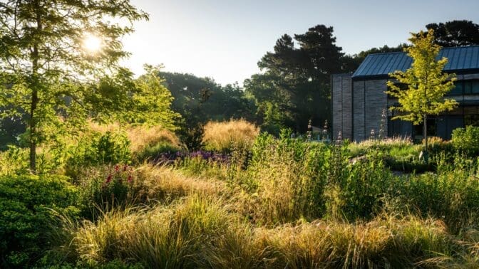 RHS Wisley garden