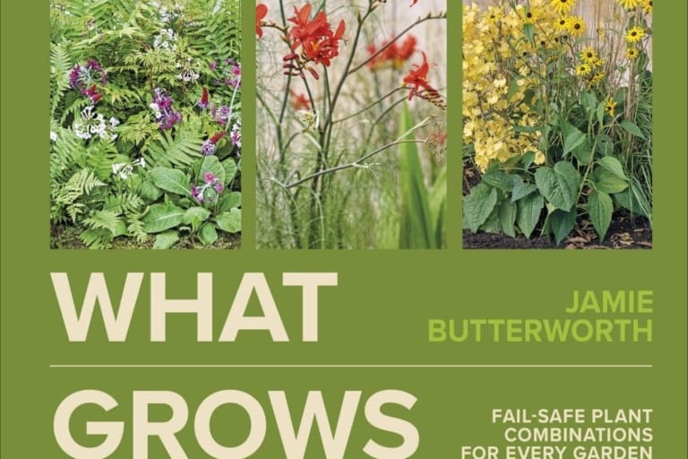 What Grows Example What grows together | The Dirt Horticulture News