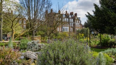 Chelsea Physic Garden
