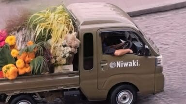 Niwaki van driving in Paris