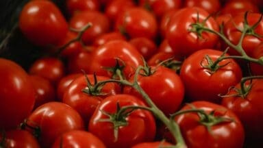 Tomatoes