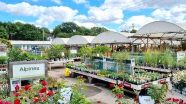 Inside a British Garden Centre group garden centre