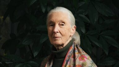 Jane Goodall