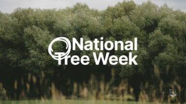 National Tree Week's new logo