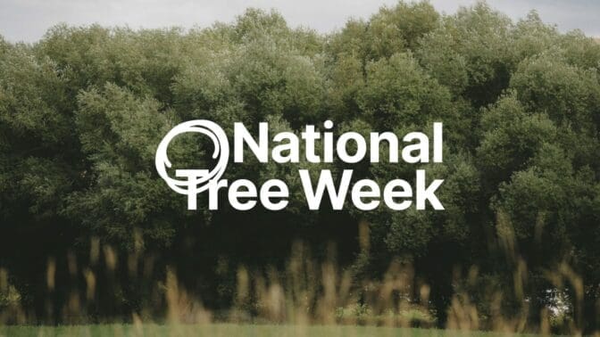 National Tree Week's new logo