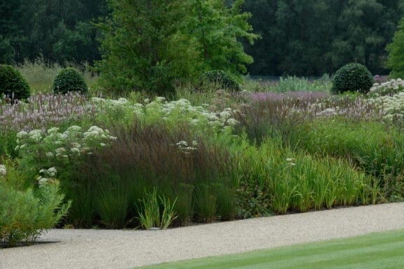 Stuart Medhurst Rhs Spacelift brings AI-assisted garden design to the RHS Chelsea Flower Show