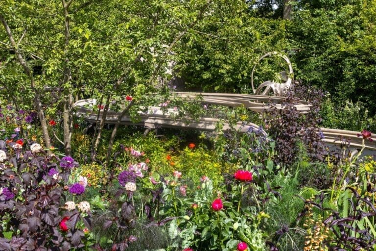 RHS Chelsea Flower Show 2026 People’s Choice Award winners announced